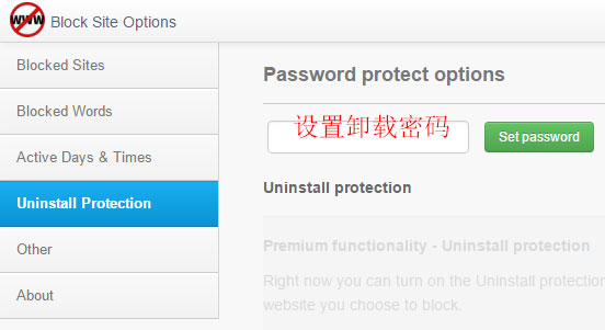 Block_site功能四 Block_site功能四