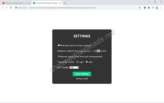 音频捕捉 为每个打开的网页单独录音的工具介绍图2